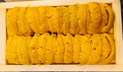 Santa Barbara Uni  SB 海膽